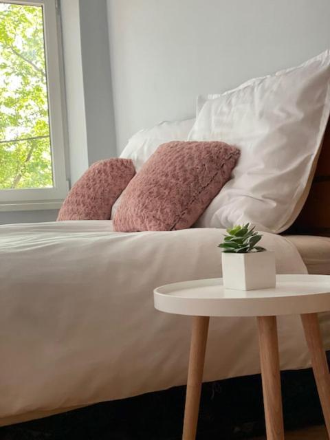 Boni Apartman 미슈콜츠 외부 사진