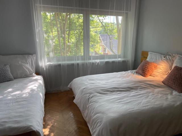 Boni Apartman 미슈콜츠 외부 사진